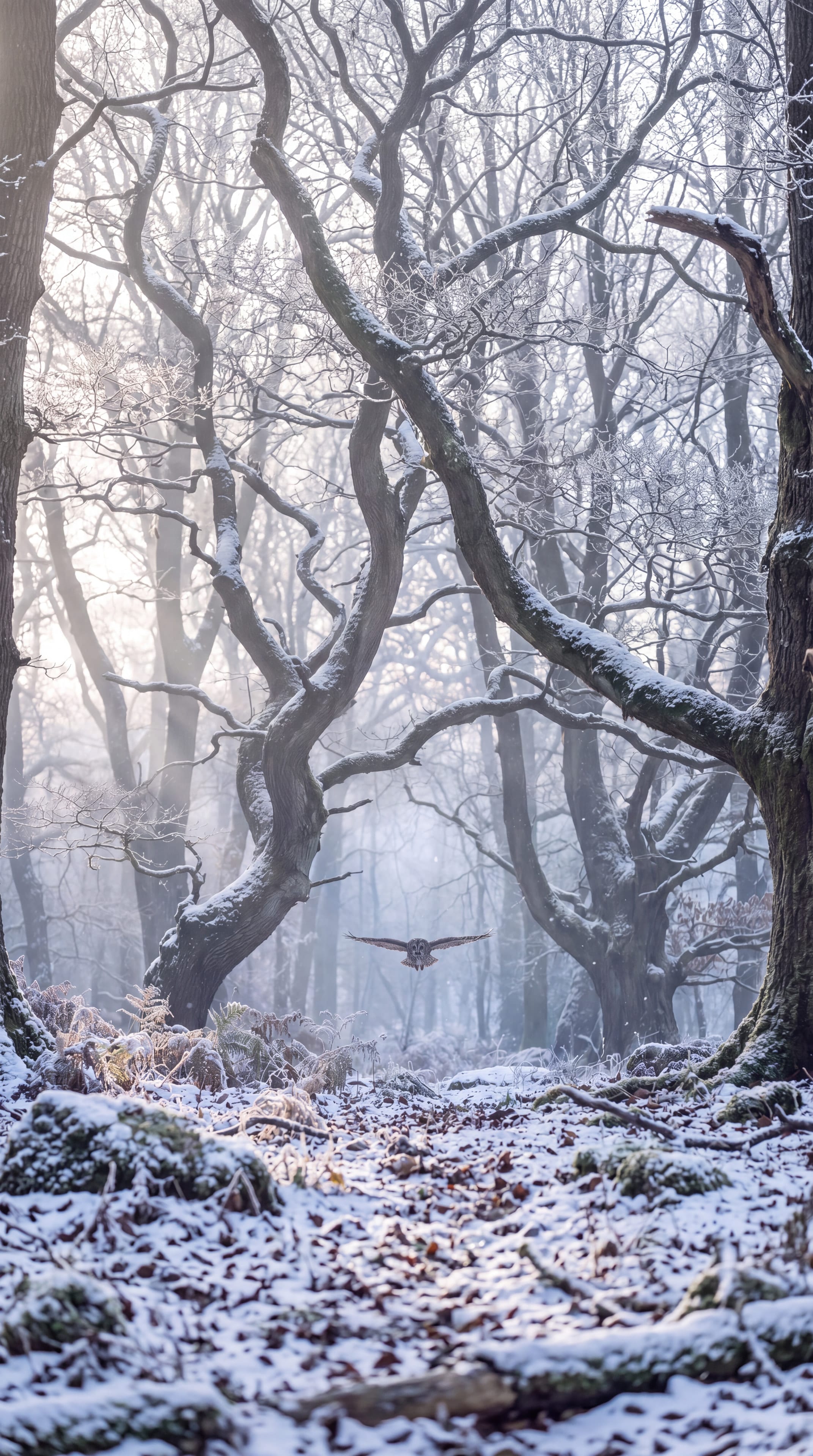 An owl gliding down a misty path between frost-covered, twisting oaks